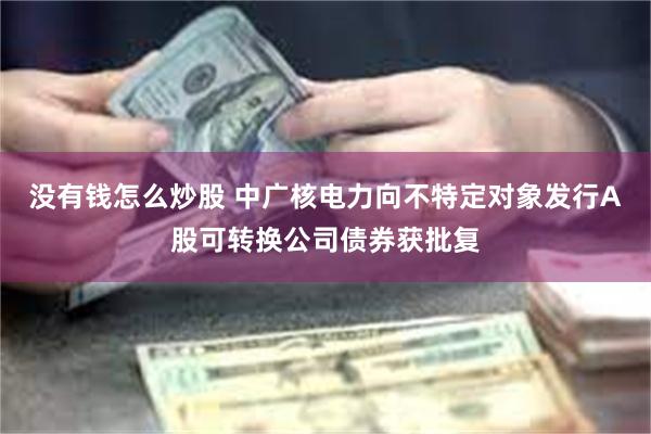 没有钱怎么炒股 中广核电力向不特定对象发行A股可转换公司债券获批复