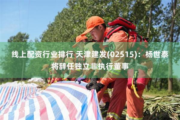 线上配资行业排行 天津建发(02515)：杨世泰将辞任独立非执行董事