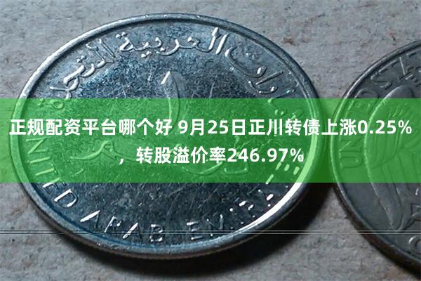 正规配资平台哪个好 9月25日正川转债上涨0.25%，转股溢价率246.97%