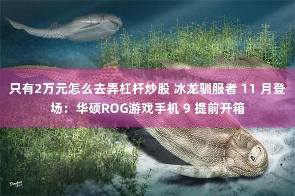 只有2万元怎么去弄杠杆炒股 冰龙驯服者 11 月登场：华硕ROG游戏手机 9 提前开箱