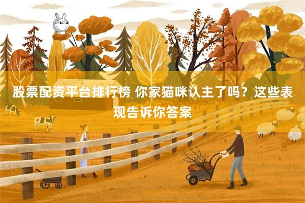 股票配资平台排行榜 你家猫咪认主了吗？这些表现告诉你答案