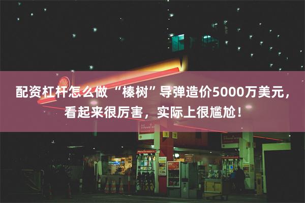 配资杠杆怎么做 “榛树”导弹造价5000万美元，看起来很厉害，实际上很尴尬！