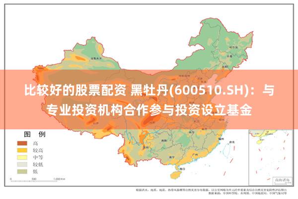 比较好的股票配资 黑牡丹(600510.SH)：与专业投资机构合作参与投资设立基金